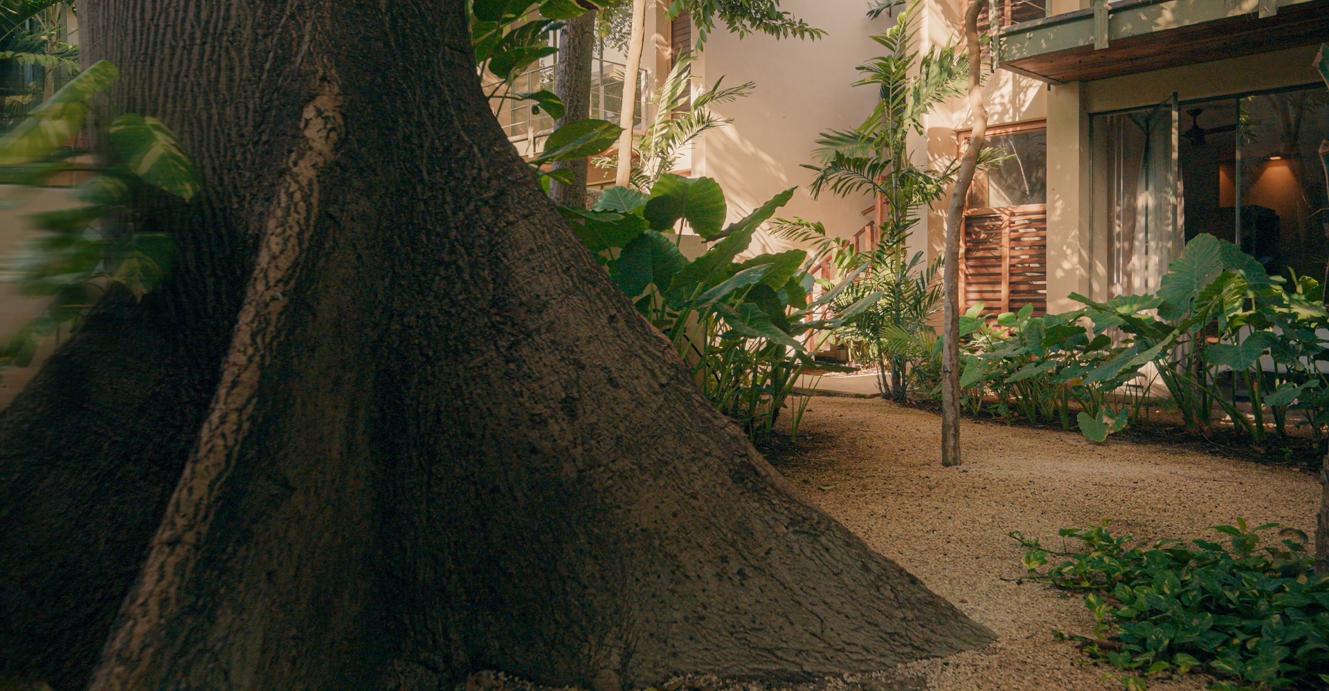 The planted tropical garden at Casa Querida — palms, monsteras and the pool beyond